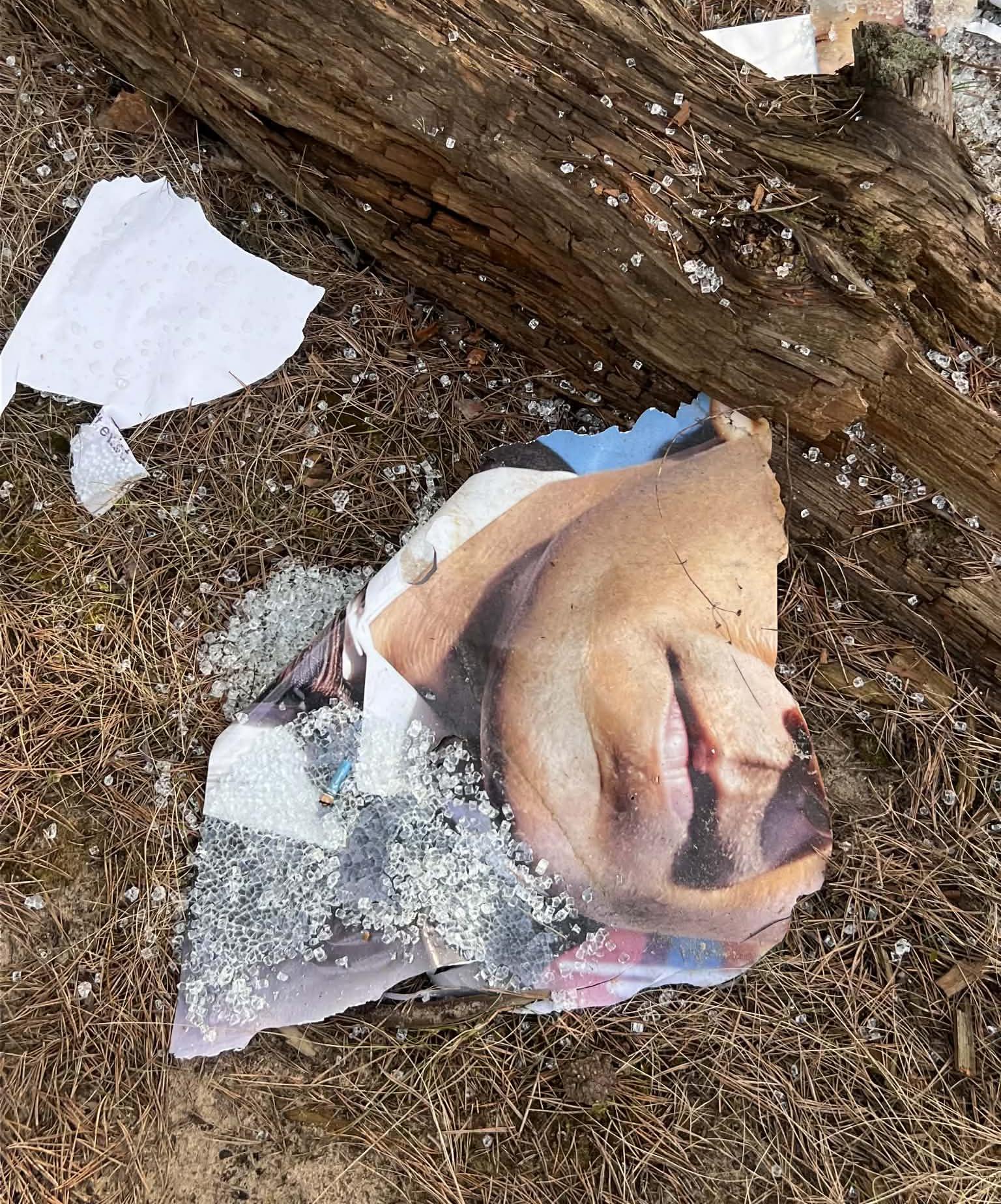 На Тропе мудрости в курортном Нарва-Йыэсуу повреждены 5 стендов